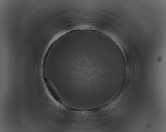 X0000096641045200802121105