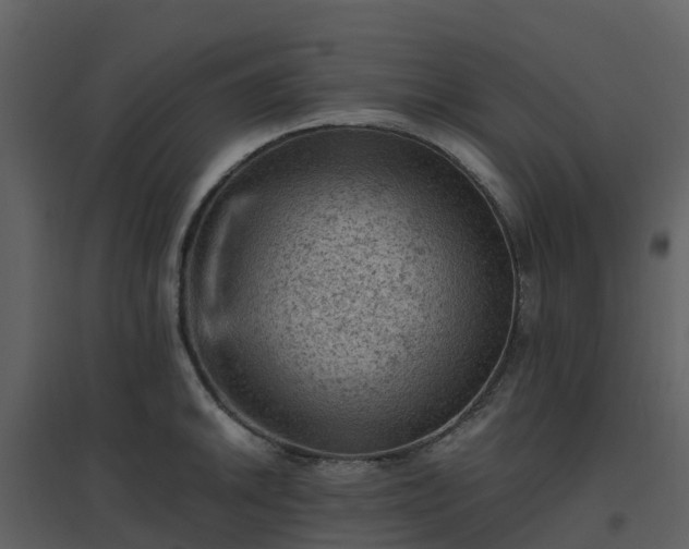 X0000096641046200802121105