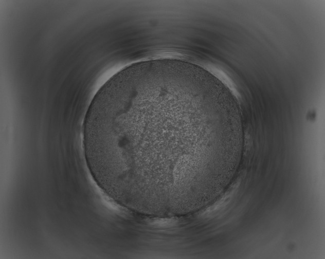 X0000096641047200802121105