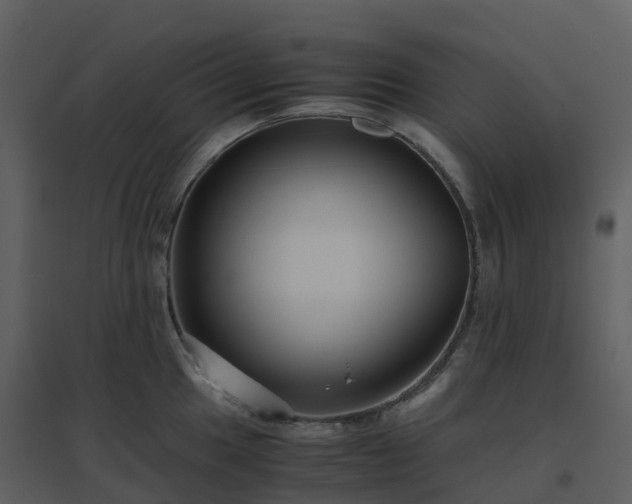 X0000096641049200802121105