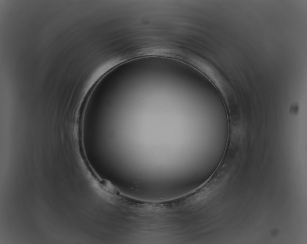 X0000096641050200802121105