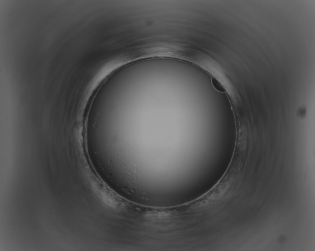 X0000096641051200802121105