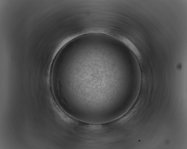 X0000096641052200802121105