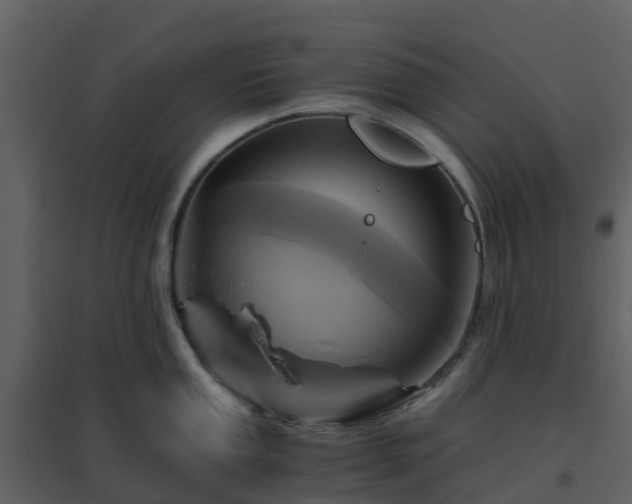 X0000096641053200802121105