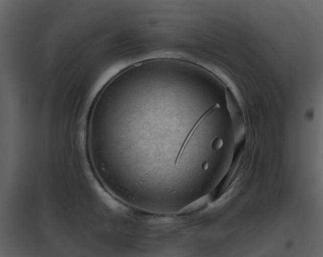 X0000096641054200802121105