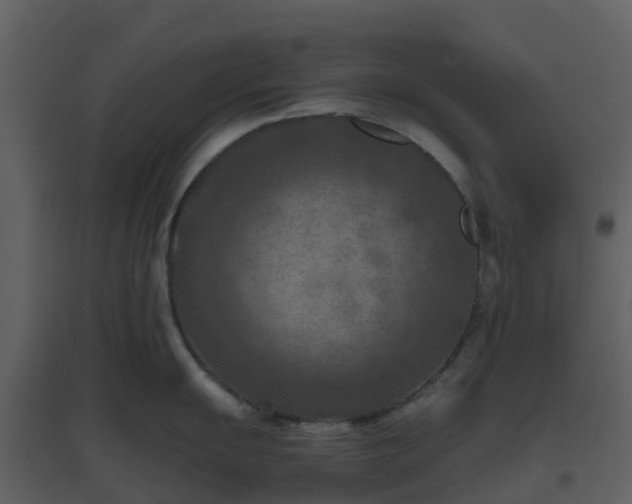 X0000096641055200802121105