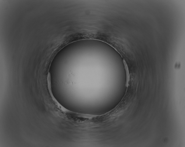 X0000096641057200802121105
