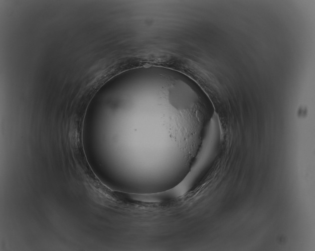 X0000096641058200802121105