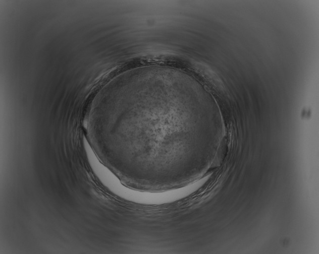 X0000096641060200802121105