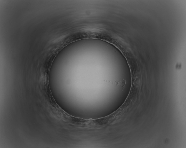 X0000096641061200802121105