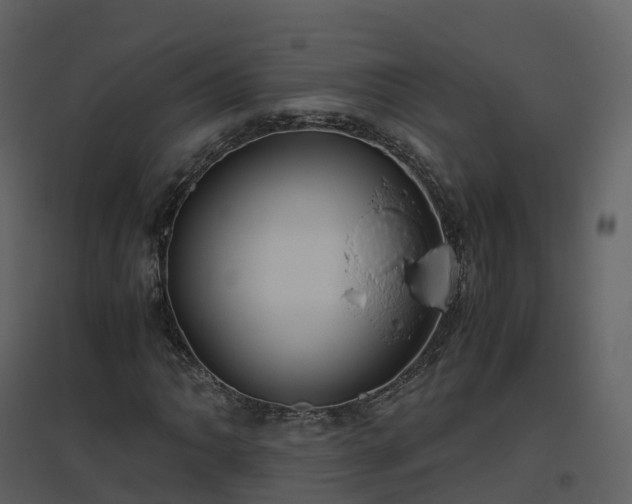 X0000096641062200802121105