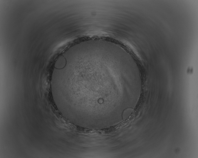 X0000096641063200802121105