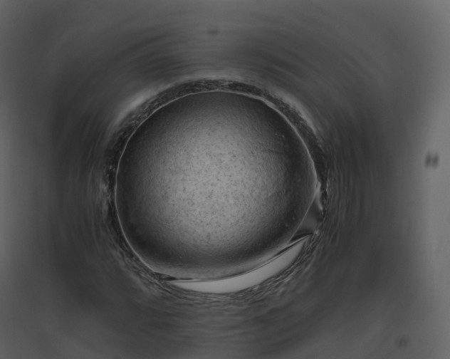 X0000096641064200802121105