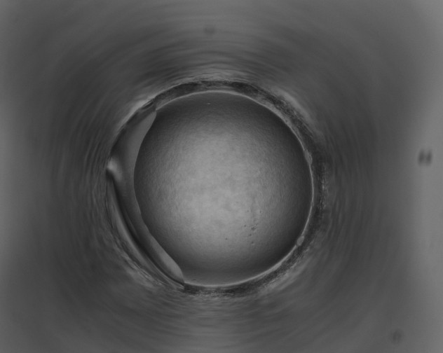X0000096641065200802121105