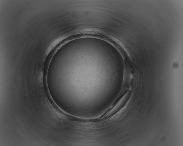 X0000096641066200802121105