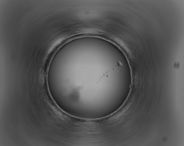 X0000096641067200802121105
