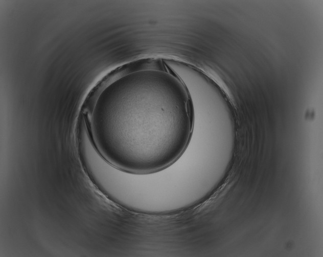X0000096641068200802121105