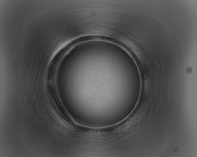 X0000096641069200802121104