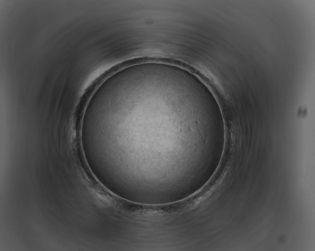 X0000096641070200802121104