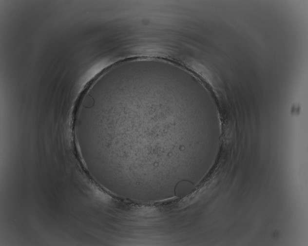 X0000096641071200802121104