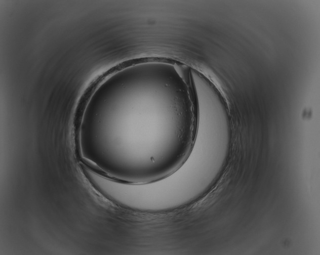 X0000096641072200802121104