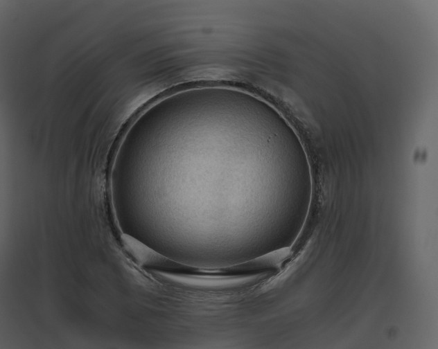 X0000096641073200802121104