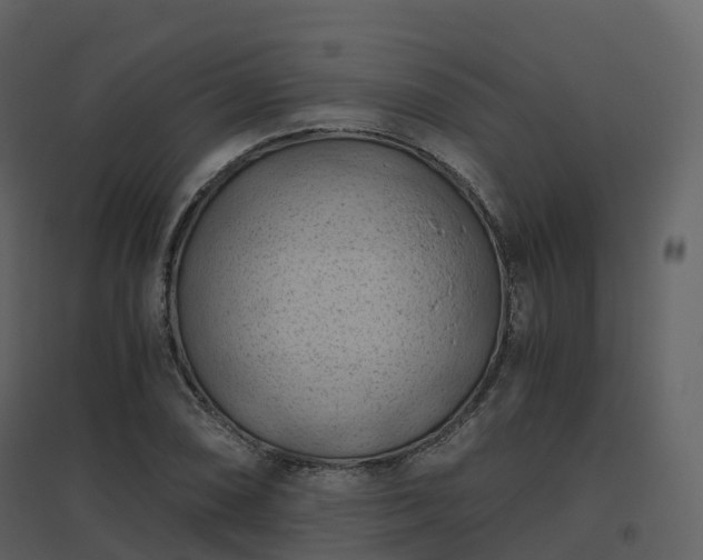 X0000096641074200802121104