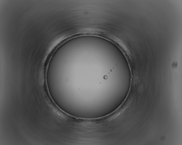 X0000096641075200802121104