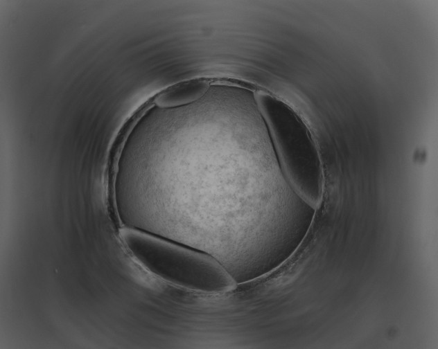 X0000096641076200802121104