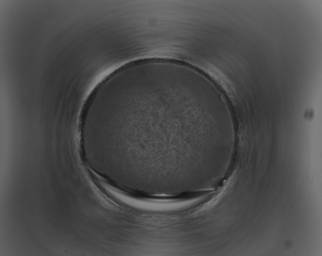 X0000096641077200802121104