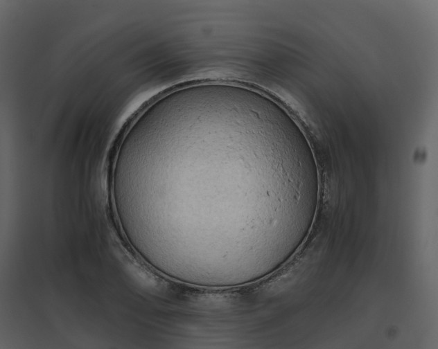 X0000096641078200802121104