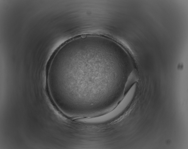 X0000096641079200802121104