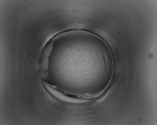 X0000096641081200802121104