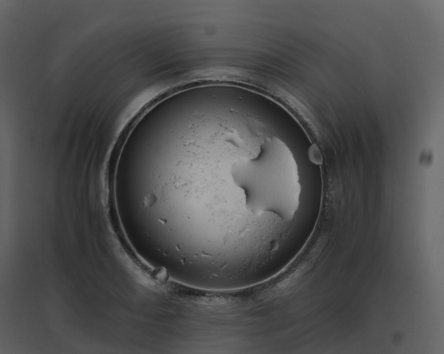 X0000096641082200802121104