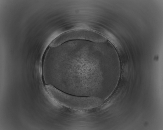 X0000096641084200802121104