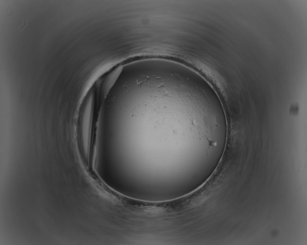 X0000096641085200802121104
