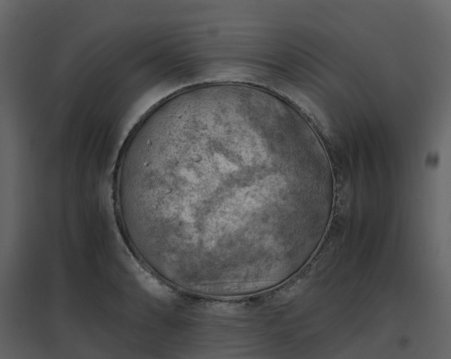 X0000096641086200802121104