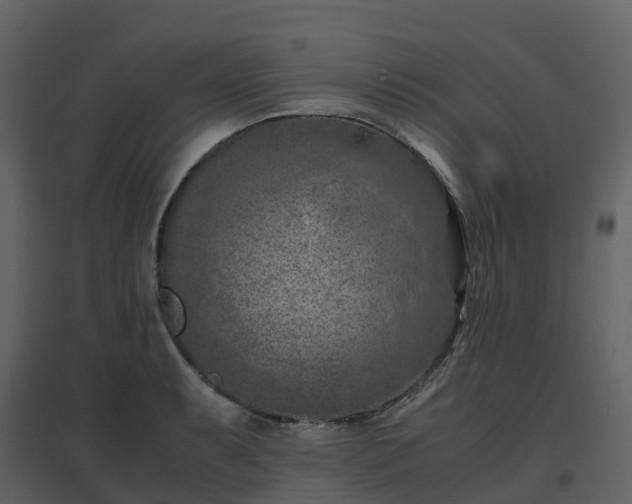 X0000096641087200802121104