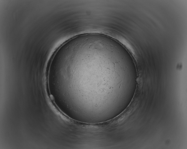 X0000096641088200802121104