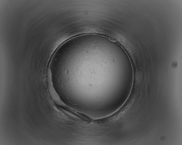 X0000096641089200802121104