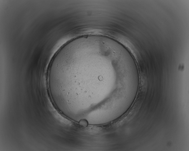 X0000096641090200802121104