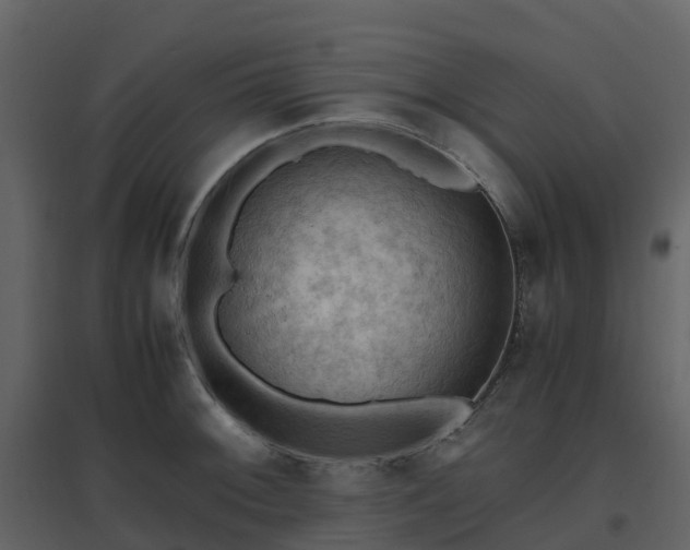 X0000096641092200802121104