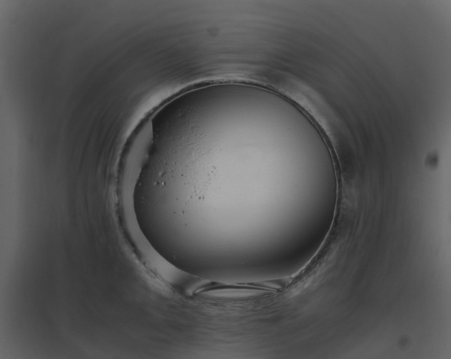 X0000096641093200802121104
