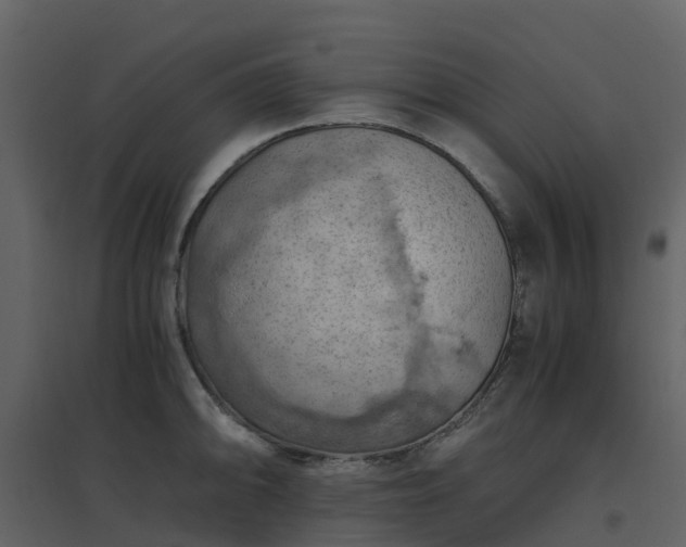 X0000096641094200802121104