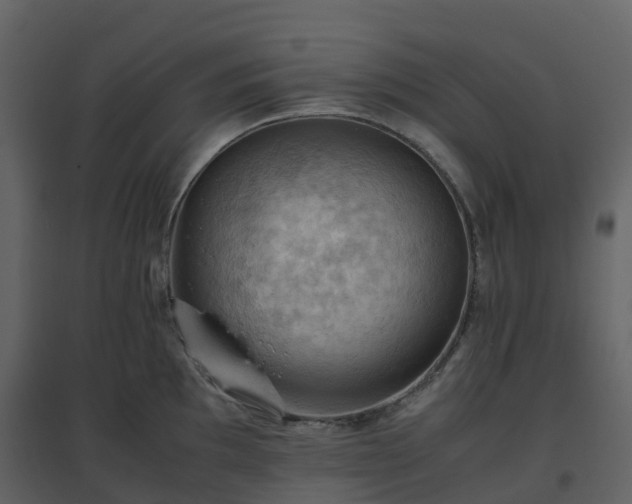X0000096641097200802121104