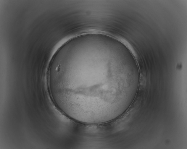 X0000096641098200802121104