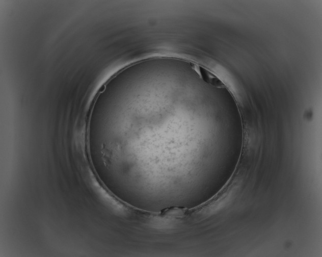 X0000096641100200802121104