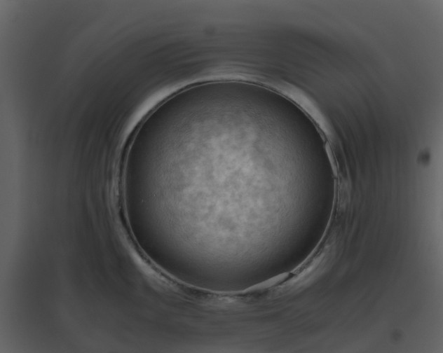 X0000096641101200802121104