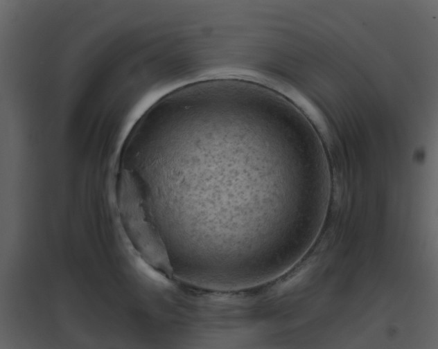 X0000096641102200802121104
