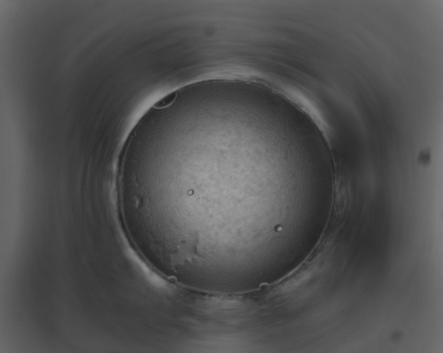 X0000096641103200802121104